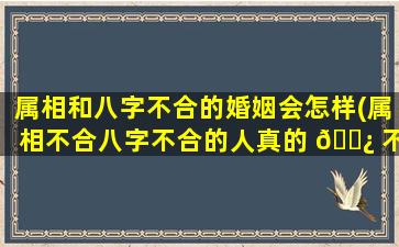 属相和八字不合的婚姻会怎样(属相不合八字不合的人真的 🌿 不能在一起吗)